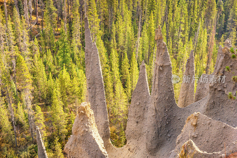 美国俄勒冈州的Pinnacles Trail Crater Lake国家公园